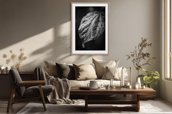 Framed black-and-white leaf with raindrops displayed above a light sofa and low wooden table.