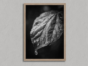After Rain shown in an oak frame without a border or mount.
