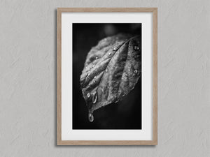 After Rain shown in an oak frame with a white border or mount.