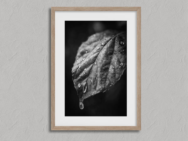 After Rain shown in an oak frame with a white border or mount.
