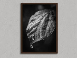 After Rain shown in a walnut frame without a border or mount.