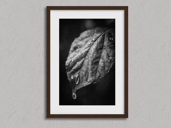 After Rain shown in a walnut frame with a white border or mount.