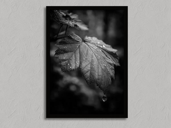 Rain on Leaf II shown in a black frame without a border or mount.