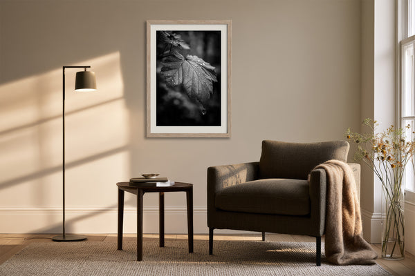Framed black-and-white rain-covered leaf photograph above an armchair, side table, and floor lamp.