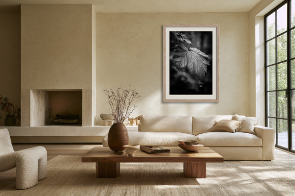 Framed black-and-white rain-covered leaf photograph above a cream sofa beside large grid windows.