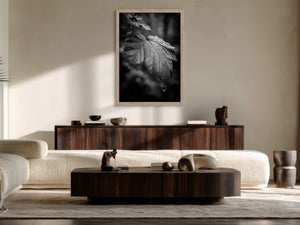 Framed black-and-white rain-covered leaf photograph above a dark wood sideboard and curved sofa.