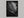 Study in Vein shown in a black frame without a border or mount.