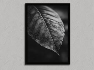 Study in Vein shown in a black frame without a border or mount.