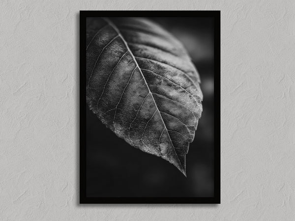Study in Vein shown in a black frame without a border or mount.