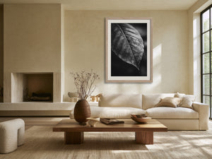 Framed black-and-white leaf vein photograph above a sofa in a sunlit living area.