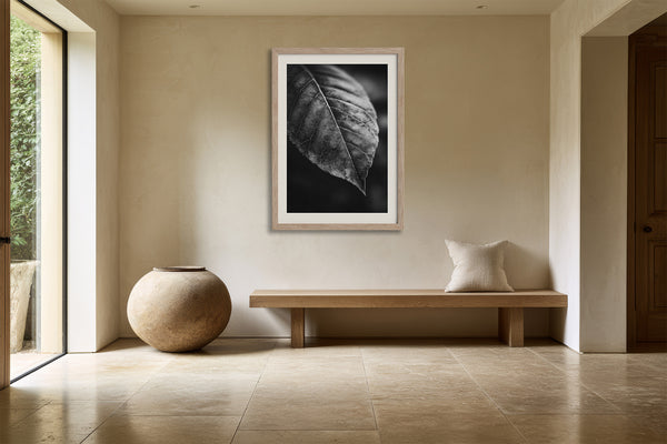 Framed black-and-white leaf vein photograph above a wooden bench beside a large ceramic vessel.