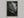 Study in Vein shown in an oak frame without a border or mount.