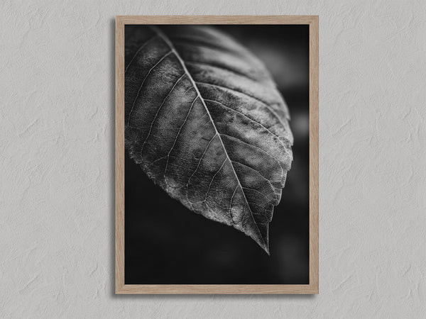 Study in Vein shown in an oak frame without a border or mount.