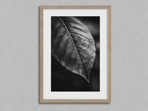 Study in Vein shown in an oak frame with a white border or mount.