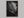 Study in Vein shown in a walnut frame without a border or mount.