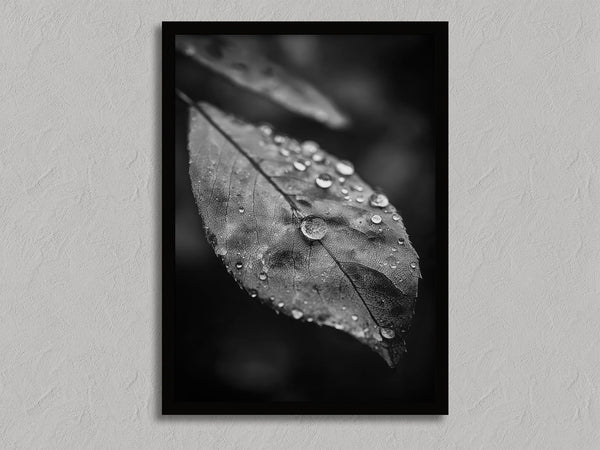 Rain Held Quietly shown in a black frame without a border or mount.
