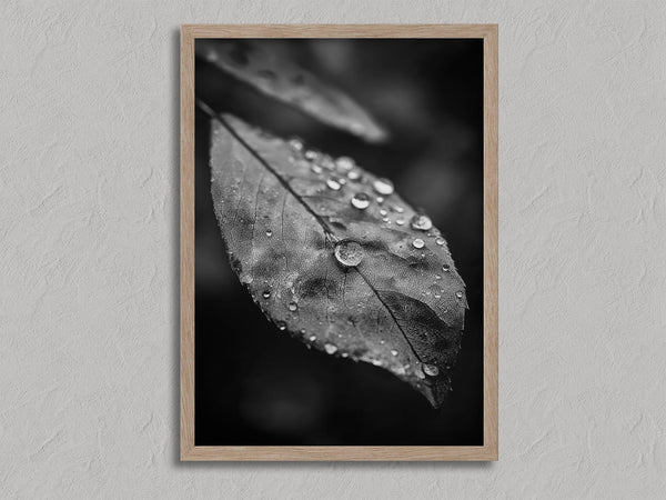 Rain Held Quietly shown in an oak frame without a border or mount.
