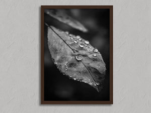 Rain Held Quietly shown in a walnut frame without a border or mount.