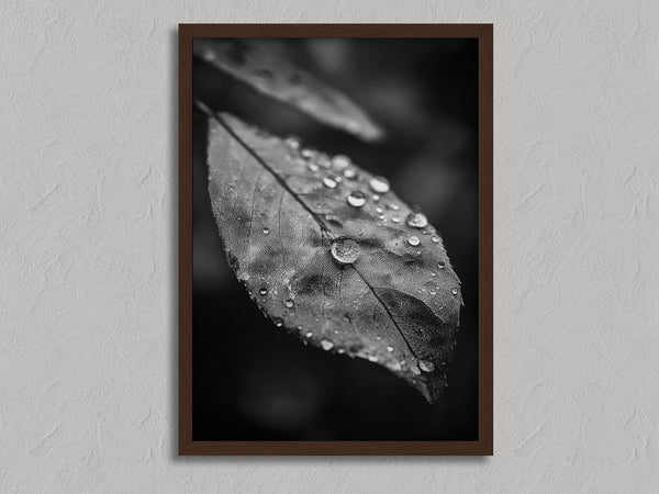 Rain Held Quietly shown in a walnut frame without a border or mount.
