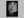 Leaf Study shown in a black frame without a border or mount.