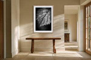 White-matted monochrome leaf artwork above a rustic wood console in a sunlit hallway.