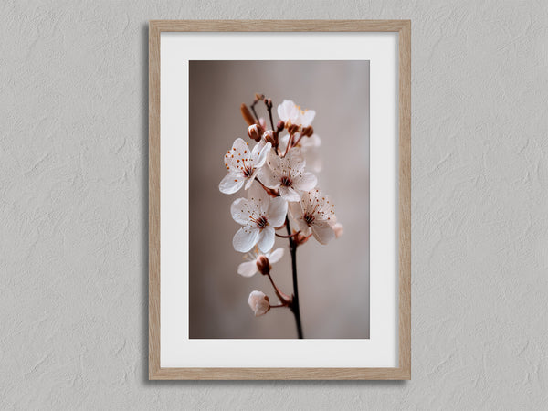 Blossom in Still Air shown in an oak frame with a white border or mount.