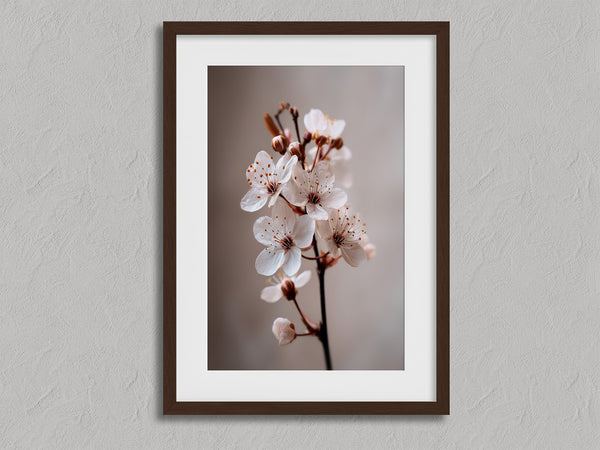 Blossom in Still Air shown in a walnut frame with a white border or mount.