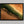 Edge of the Oasis shown in a black frame without a border or mount.