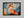 Ember Fox shown in a black frame without a border or mount.