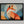 Ember Fox shown in a black frame without a border or mount.