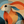 Stylised hare in profile with long flowing ears, formed from orange, ochre, teal and blue geometric shapes across an abstract landscape.