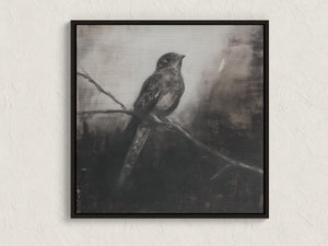 Framed monochrome nightjar canvas wall art by Atelier Lumin