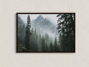 Framed alpine forest canvas wall art by Atelier Lumin