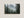 Unframed evergreen forest and mountain canvas print