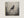 Unframed blackbird canvas print with soft charcoal-style detail
