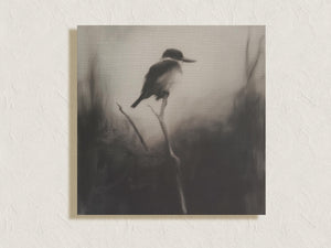Unframed kingfisher canvas print with soft charcoal-style detail