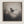 Canvas wall art of a solitary robin in black and white. A peaceful charcoal bird print, full of stillness. Ready to hang.