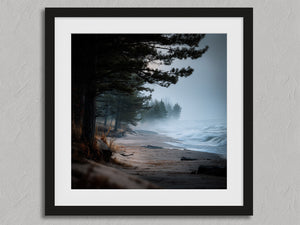 Pine Shore Mist shown in a black frame with a white border or mount.