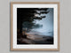 Image for Pine Shore Mist – Nebliger Küsten-Kunstdruck mit Kiefern