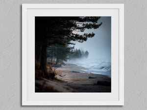Pine Shore Mist shown in a white frame with a white border or mount.