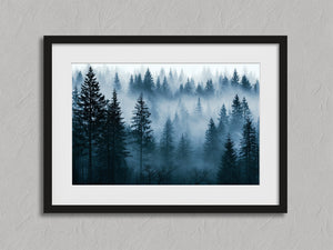 Northern Veil shown in a black frame with a white border or mount.