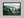 Woodland Veil shown in a black frame without a border or mount.