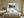 Light wood-framed misty evergreen forest artwork above a white bed between two bedside tables.