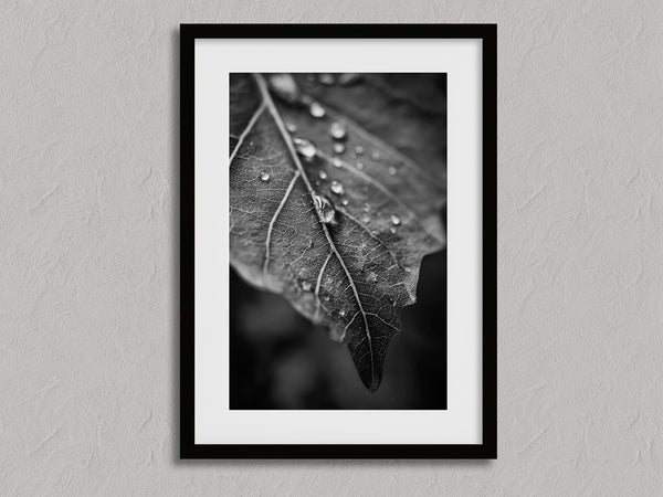 Vein and Rain shown in a black frame with a white border or mount.