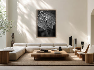 Framed black-and-white raindrop-covered leaf photograph above a cream sectional sofa and low wooden table.
