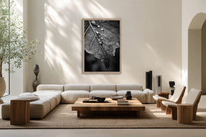 Framed black-and-white raindrop-covered leaf photograph above a cream sectional sofa and low wooden table.