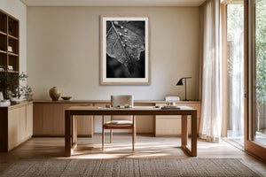 Framed monochrome leaf photograph displayed above a wooden desk beside tall glass doors.