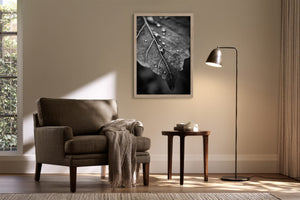 Framed black-and-white leaf photograph above an armchair, side table, and curved floor lamp.