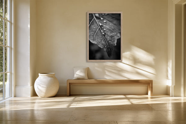 Framed raindrop-covered leaf photograph above a simple wooden bench beside a large ceramic vessel.