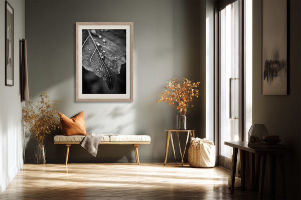 Framed monochrome leaf photograph above a cushioned bench with an orange pillow and dried flowers.